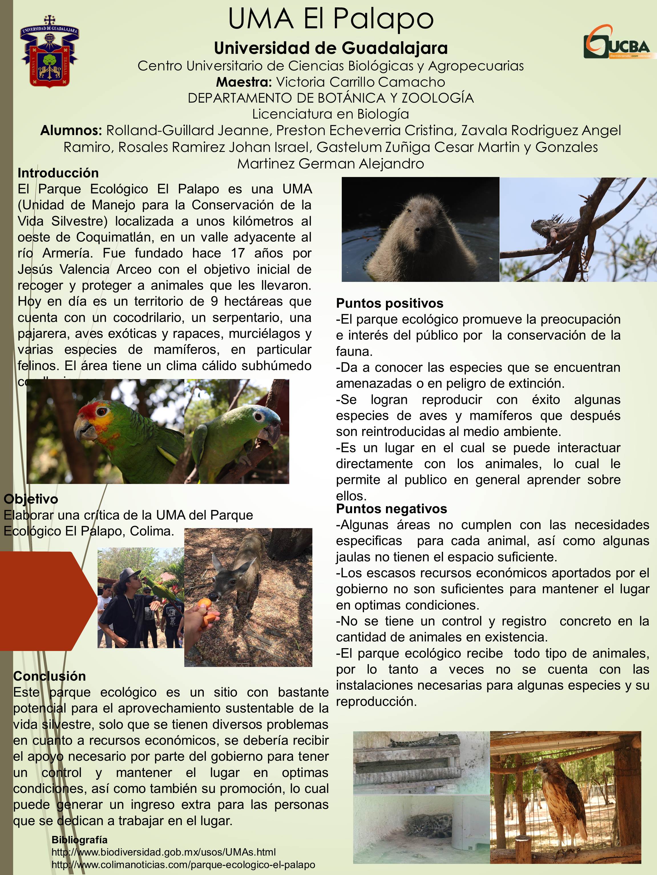 Cartel UMA El Palapo critica.jpg